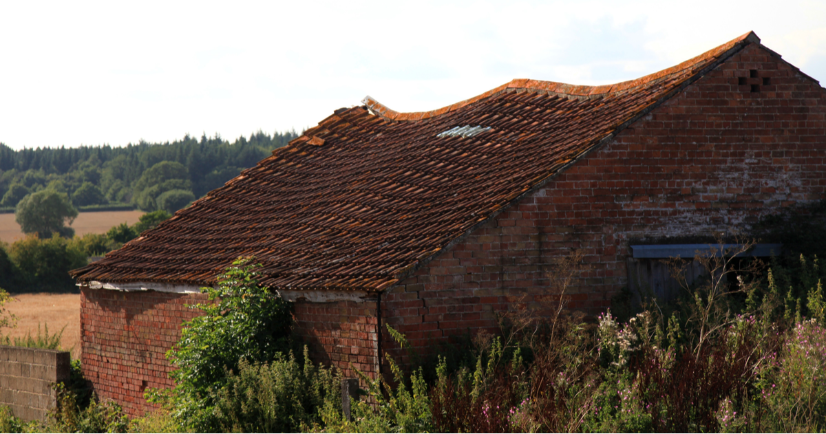 The roof is sagging on an old worn brick building. Plants are overgrown around the structure.